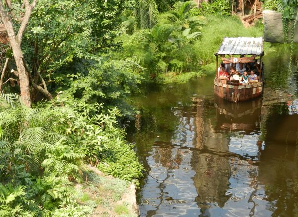 27 - Blick von oben auf den Urwaldfluss.jpg
